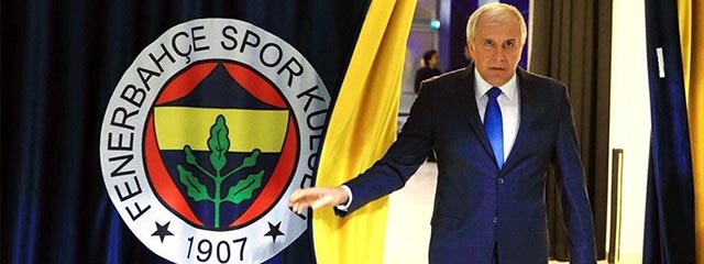Read more about the article Elveda Obradovic